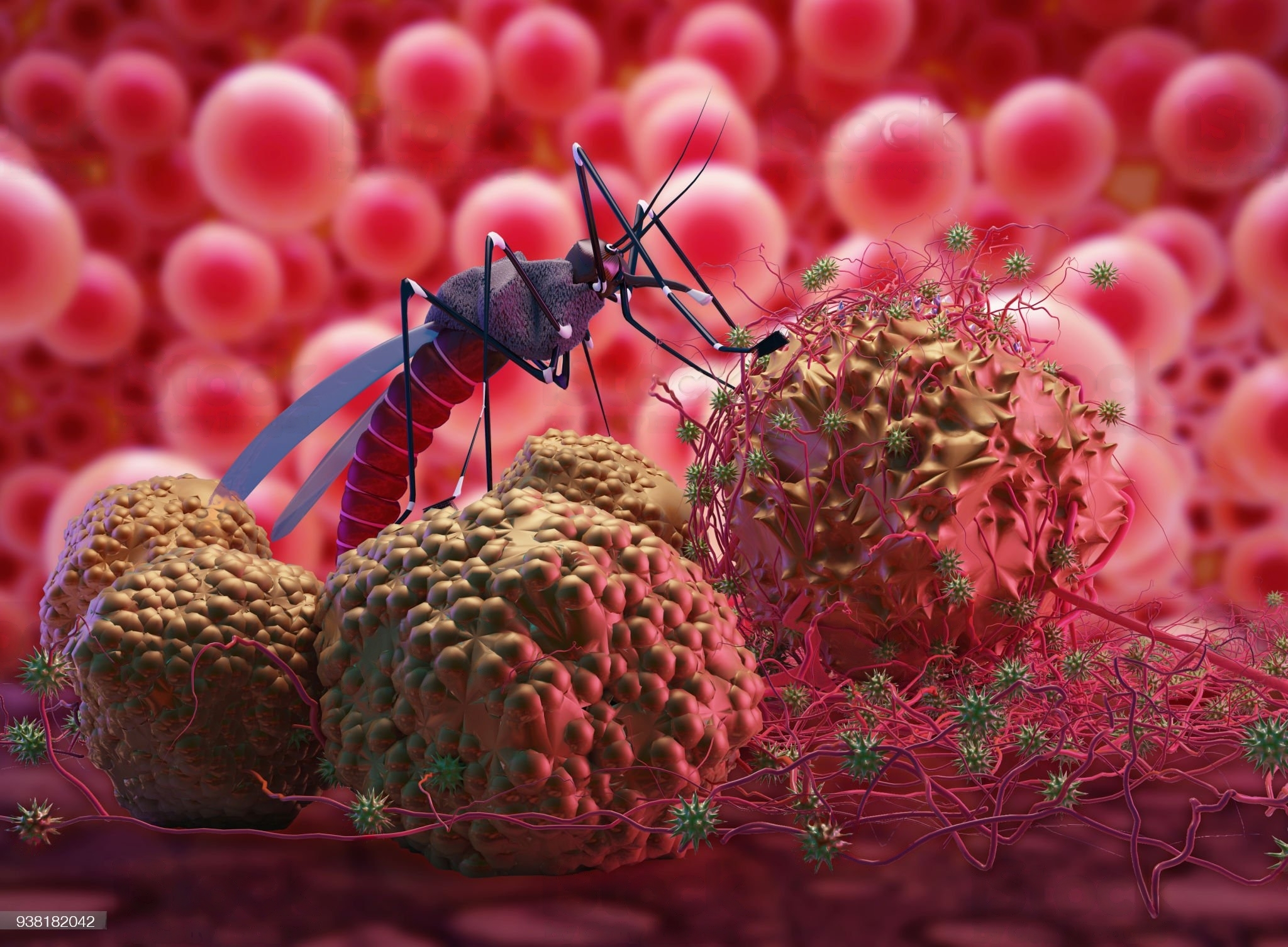 Jenis Obat Demam Berdarah Yang Wajib Diketahui