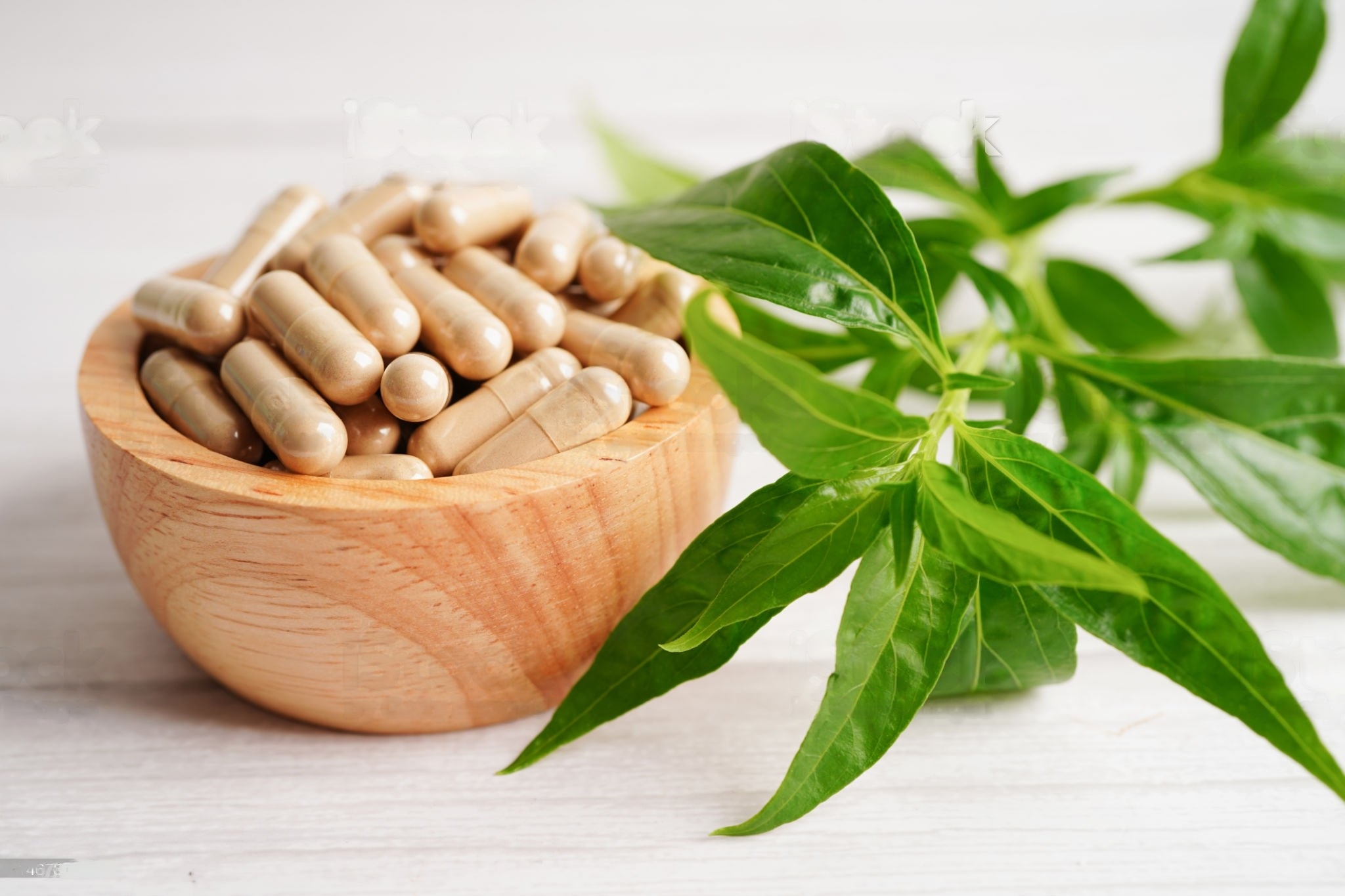 5 Manfaat Dahsyat Daun Sambiloto