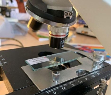 Yang Dipelajari Saat Kuliah D3 Teknologi Laboratorium Medis