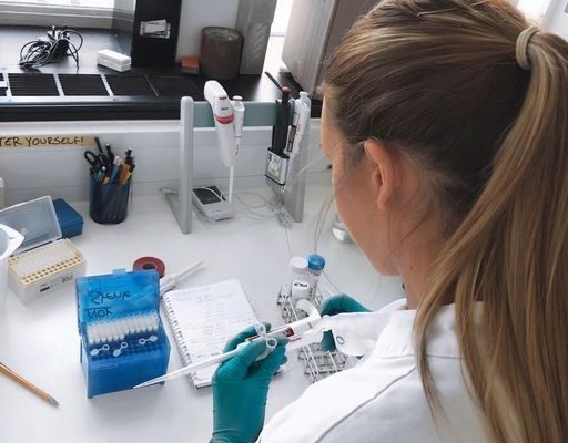 Mikrobiologi Medis Dan Pentingnya Dalam Bidang Kesehatan