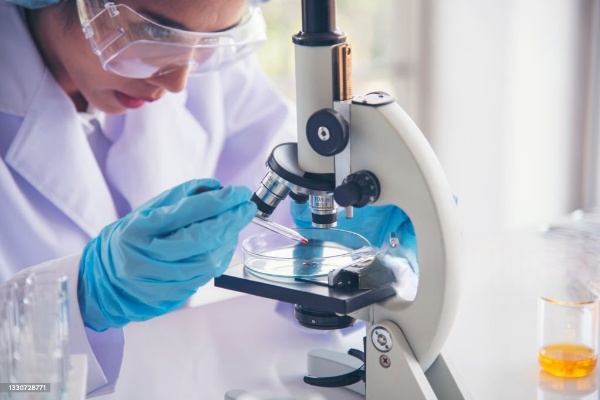 Epidemiologi Kesehatan: Kunci Memahami Penyakit